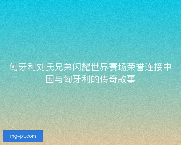 匈牙利刘氏兄弟闪耀世界赛场荣誉连接中国与匈牙利的传奇故事