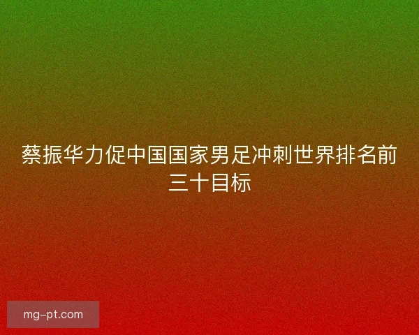 蔡振华力促中国国家男足冲刺世界排名前三十目标 蔡振华力促中国国家男足冲刺世界排名前三十目标